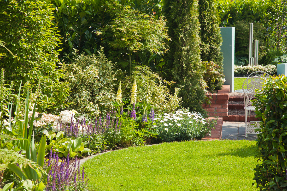 A guide to watering your garden this summer