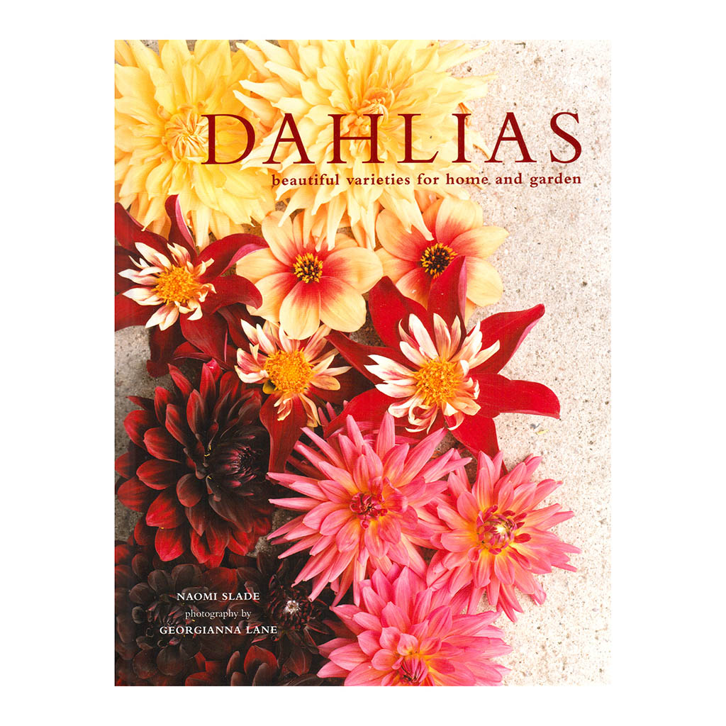 Dahlias - Beautiful Varieties for Home and Garden