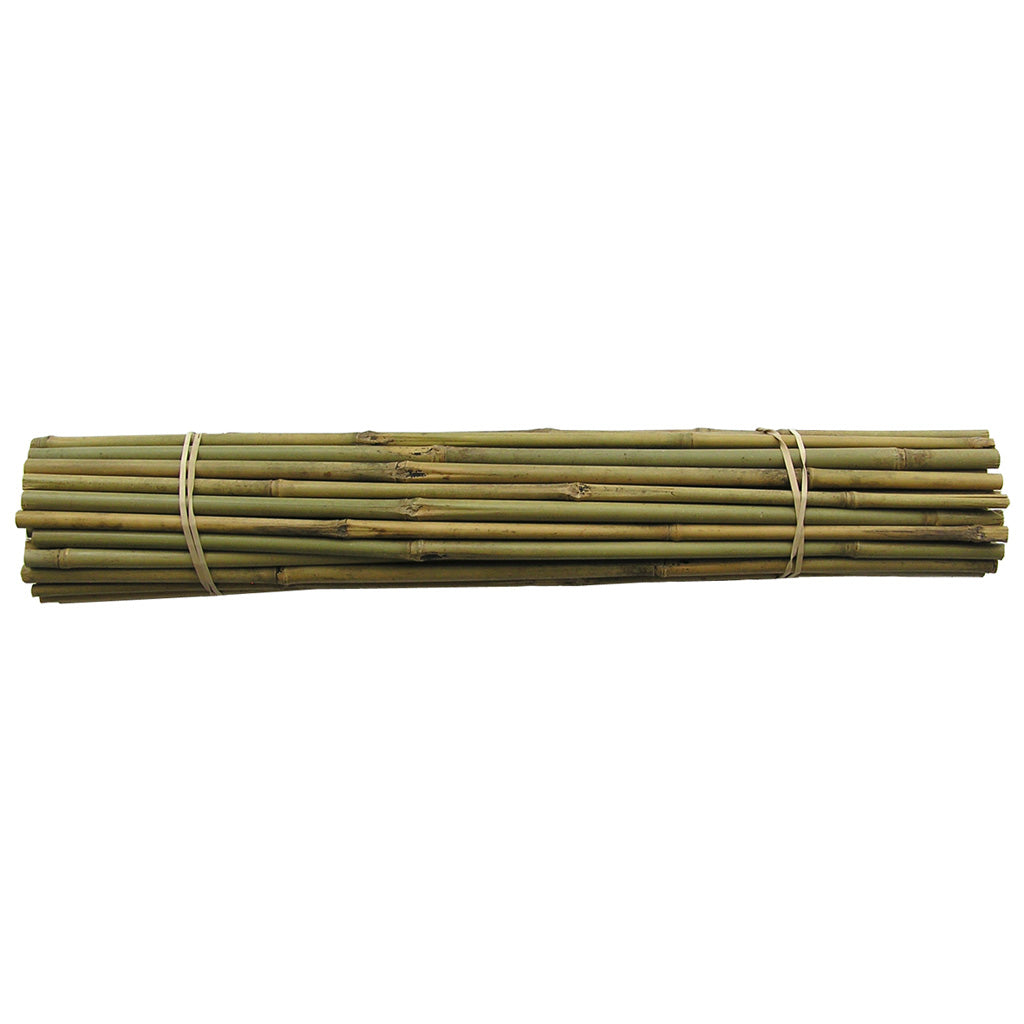 Bamboo Stakes - 600mm x 10/12mm
