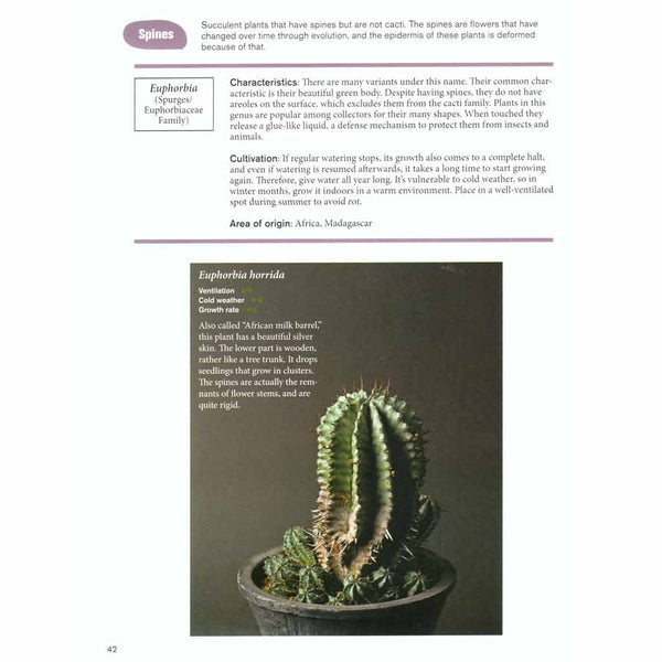 Gardener's Guide to Succulents - Forestry Tools