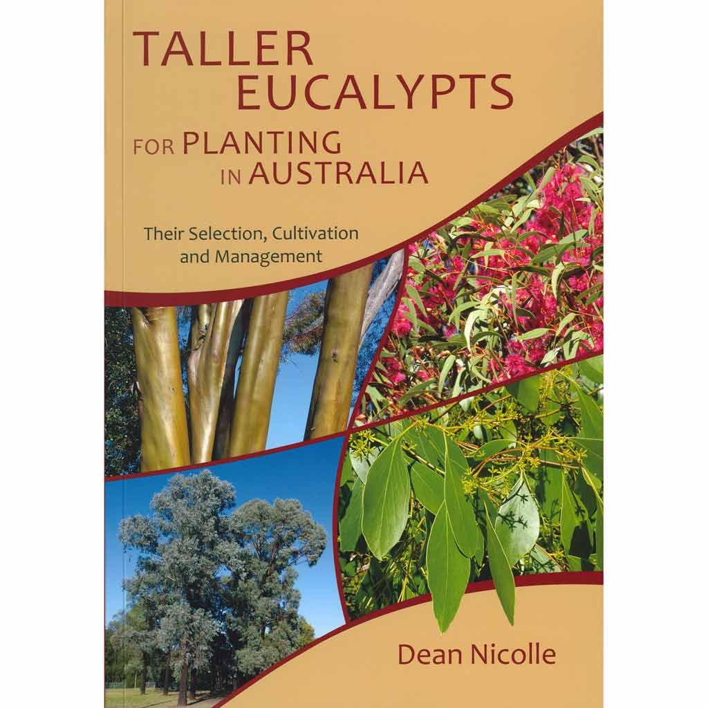 Taller Eucalypts for Planting in Aust