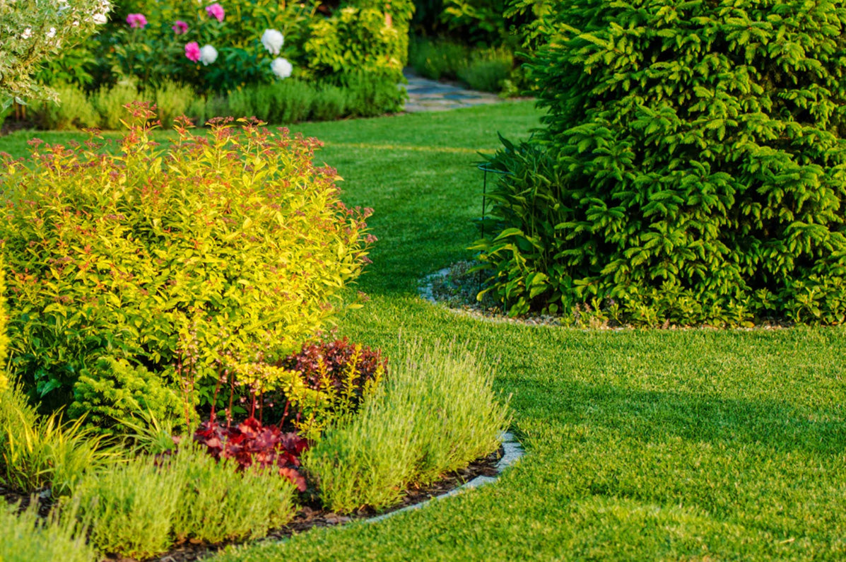 Garden tools for the at-home gardener