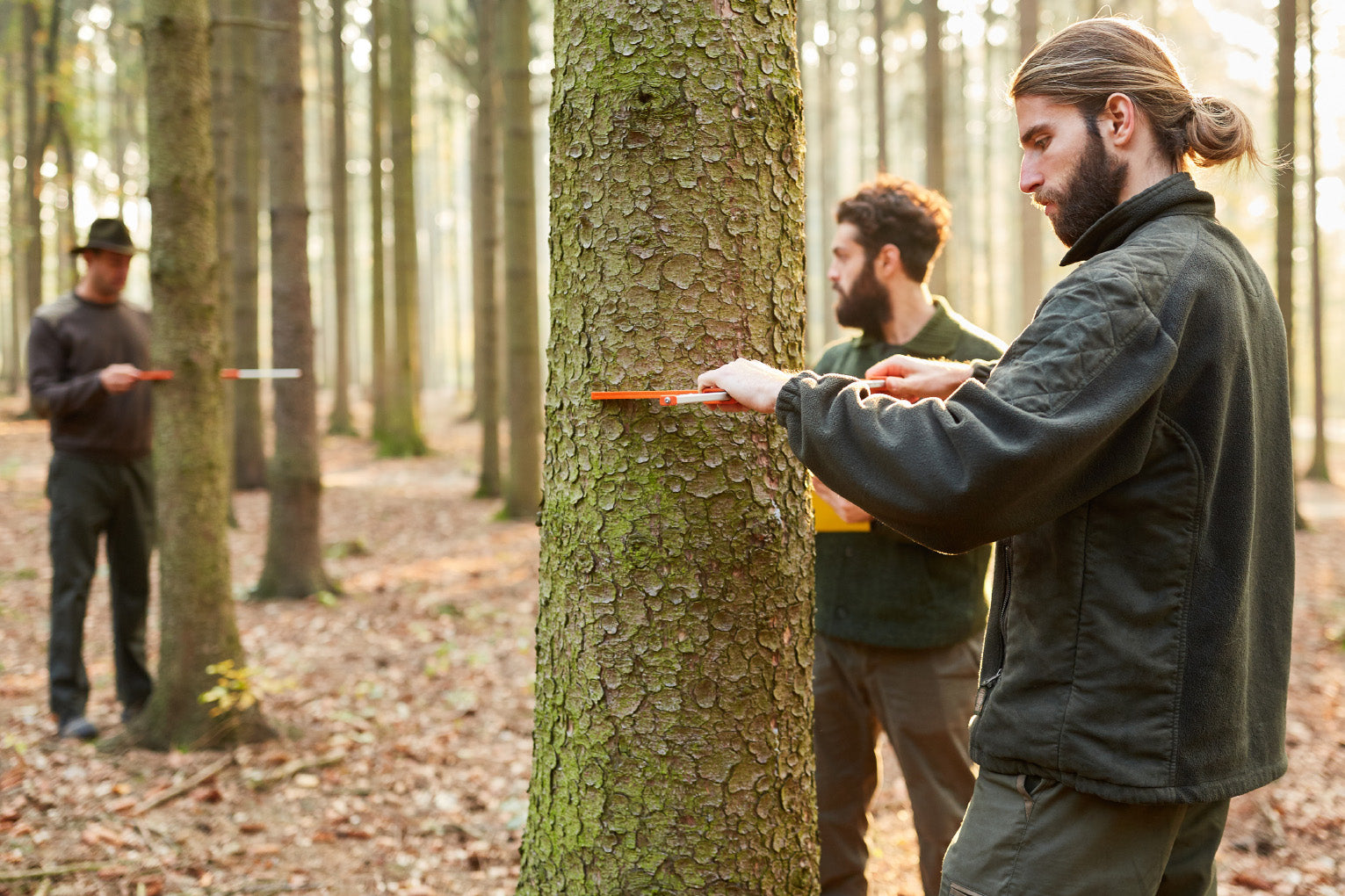 Top 4 Arborist Tools from our range