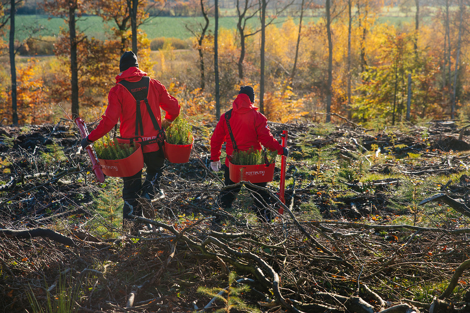 Your guide to bush regeneration tools