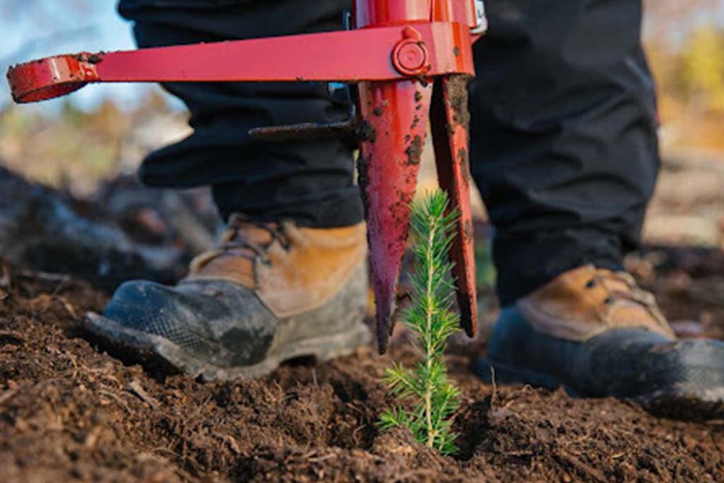 Spotlight on Pottiputki tree planters