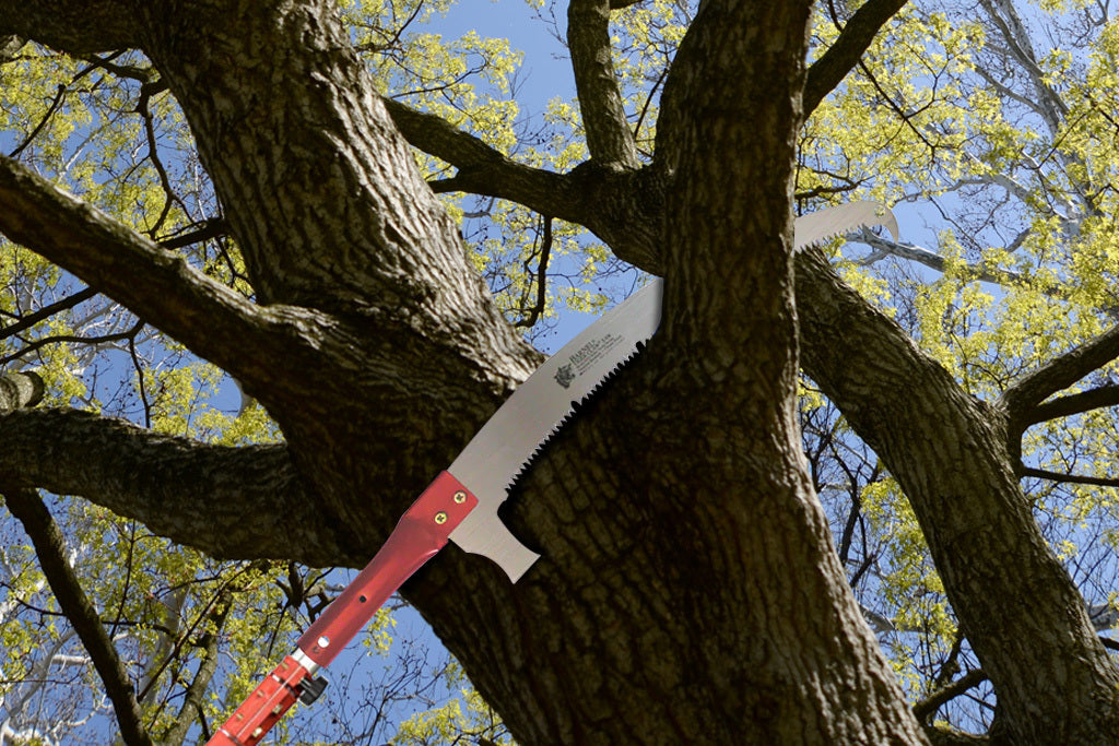 Guide to manual telescopic pruners