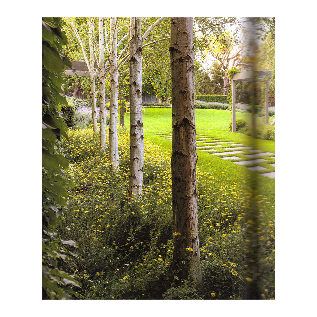 Big Garden Design