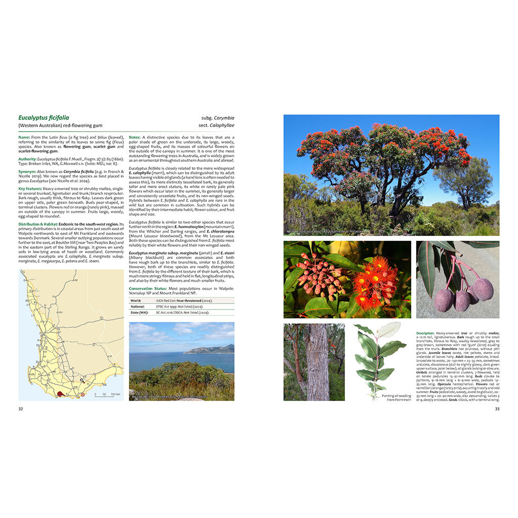 Eucalypts of WA - The SW Coast &amp; Ranges