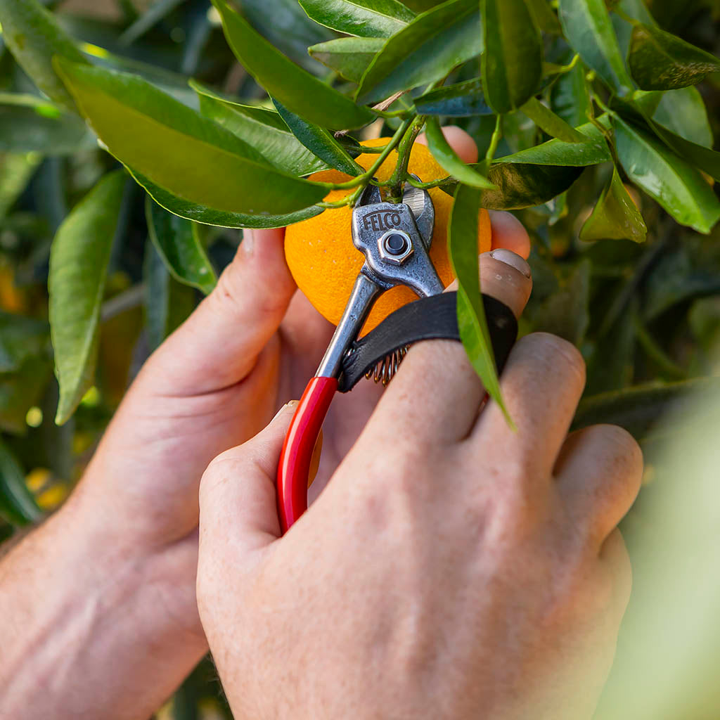 Felco 330 Fruit Clipper