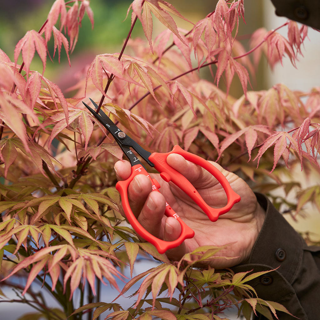 Felco 420 Trimming Scissor