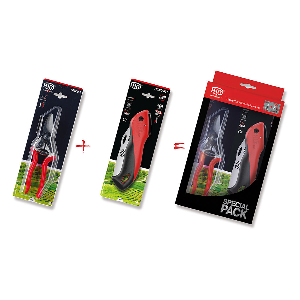 Felco 6 + Felco 601 Special Pack