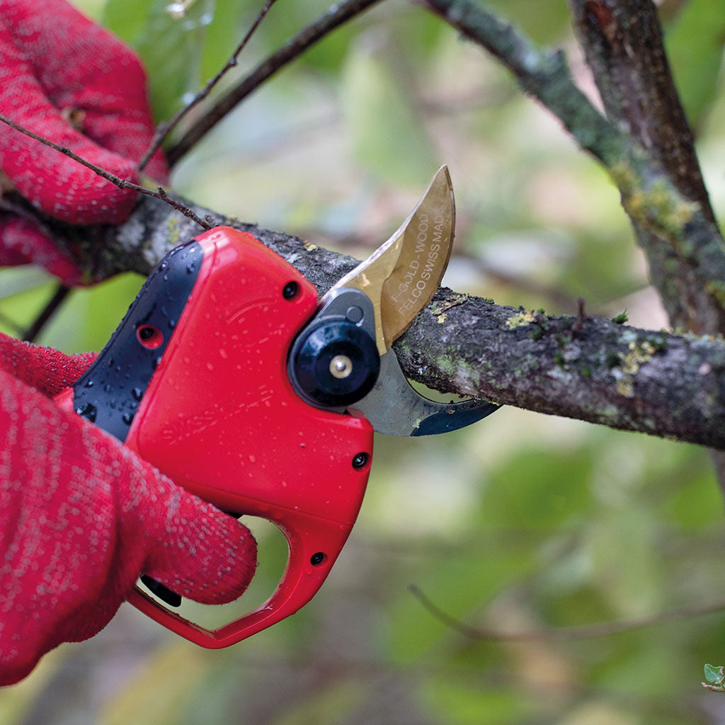 Felco 834W Electric Pruner (wood)