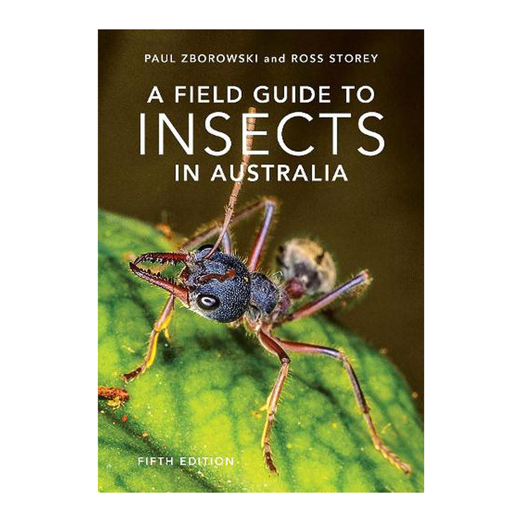 Field Guide to Insects in Australia - Forestry Tools