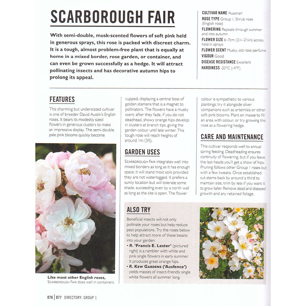 Growing Roses Pdf Grow Roses - Forestry Tools