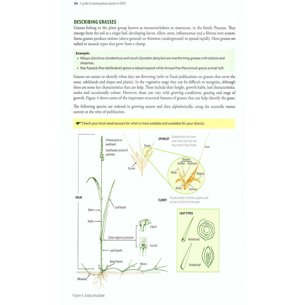 Guide to Sown Pasture Species in NSW