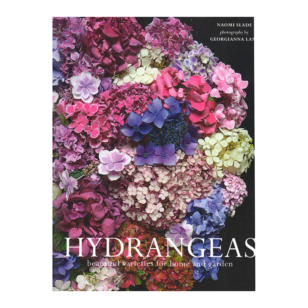 Hydrangeas - Beautiful Varieties for Home and Garden