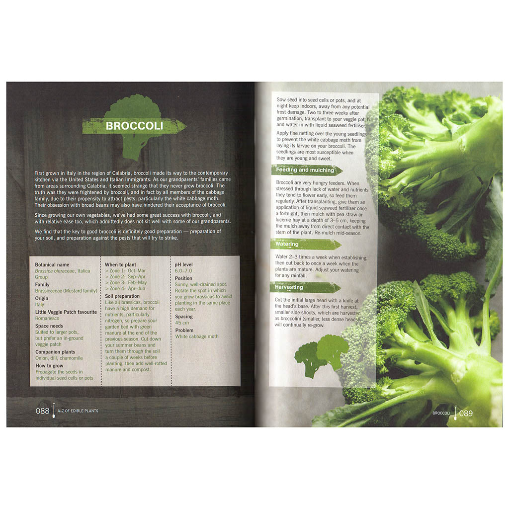Little Vegie Patch Co