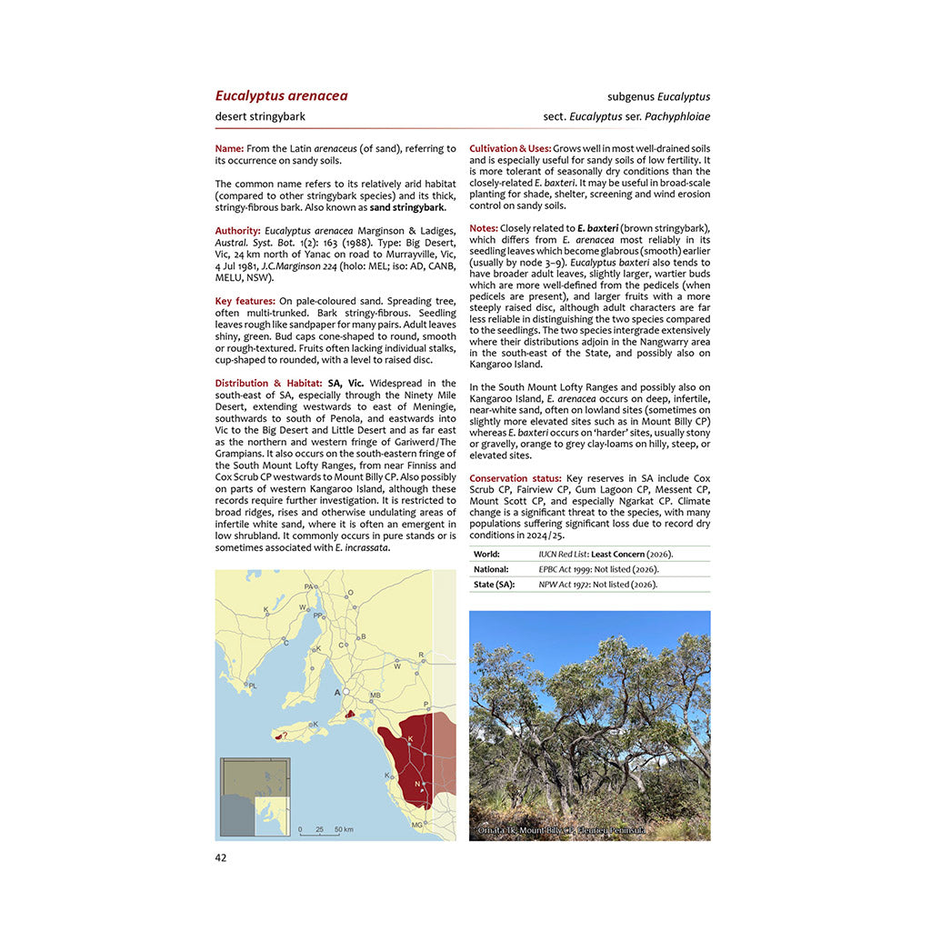 Native Eucalypts of South Australia