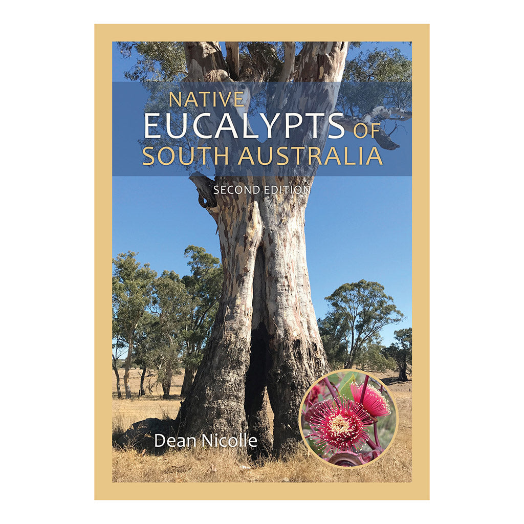 Native Eucalypts of South Australia