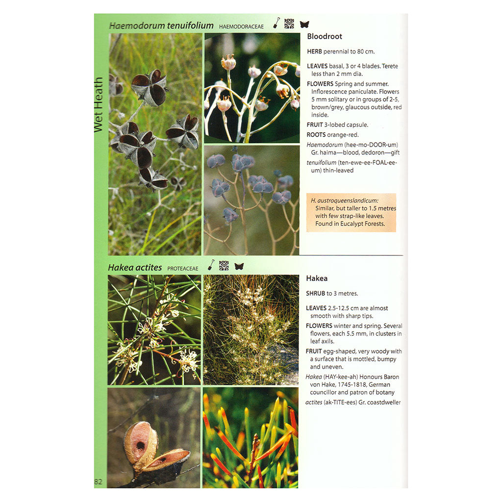 Noosa&#39;s Native Plants