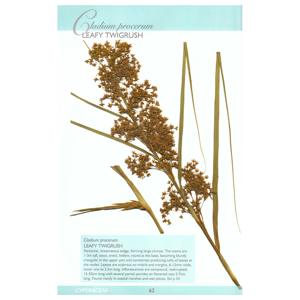 Sedges Rushes &amp; Restiads of the Noosa Biosphere