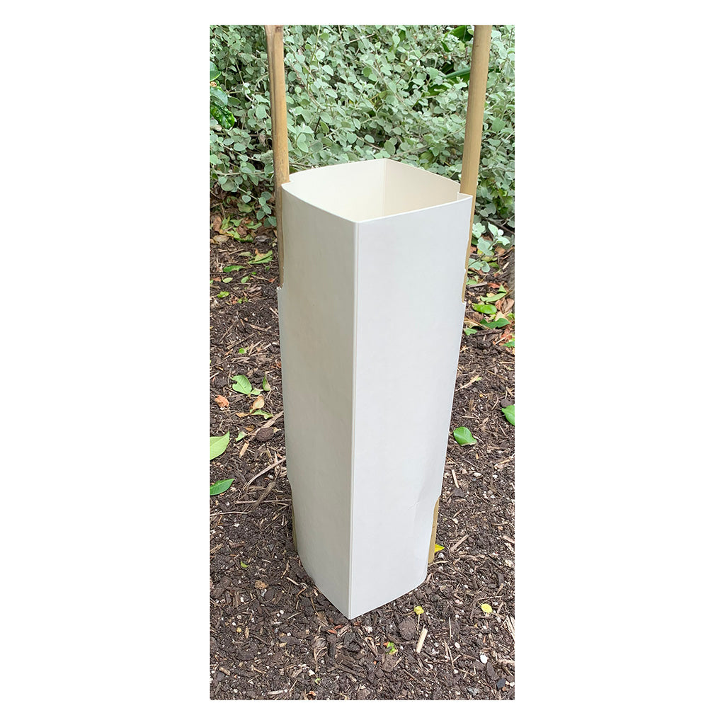 Tree Guards - Biodegradable Fibreboard 300x95x95