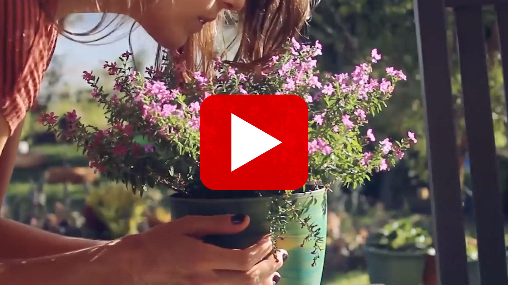 Homepage video thumbnail