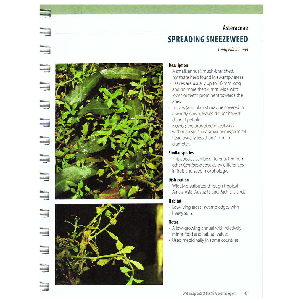Wetland Plants of the NSW Coastal Region