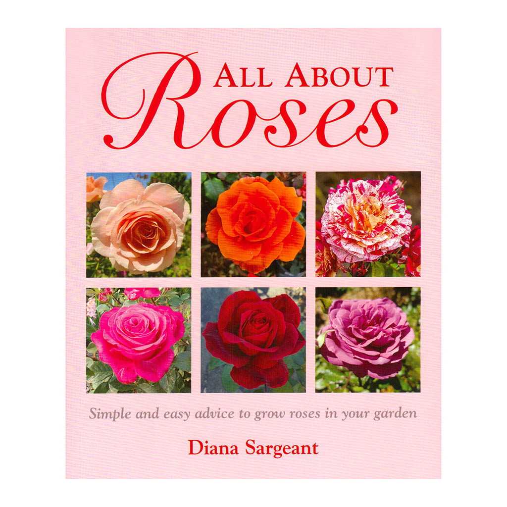 All About Roses