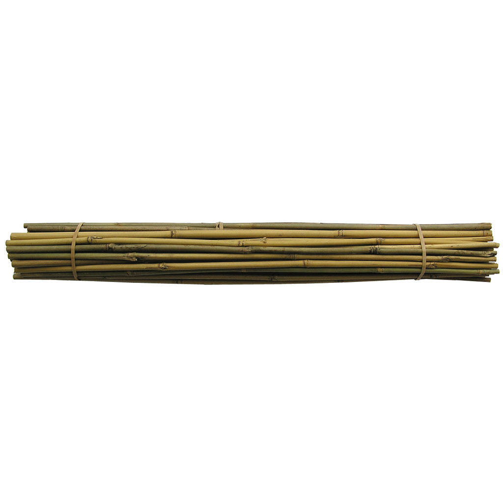 Bamboo Stakes - 750mm x 12/14mm