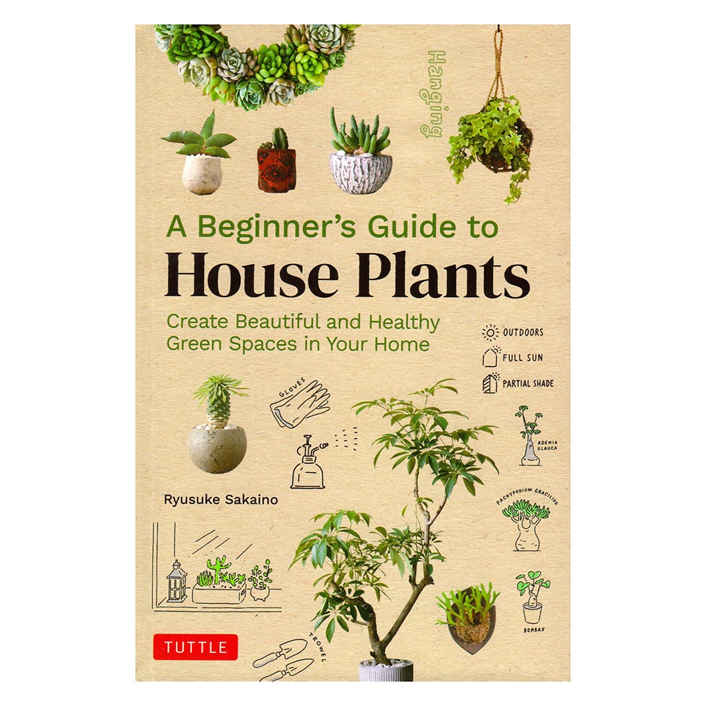 Beginner's Guide to House Plants