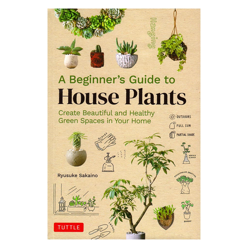 Beginner&#39;s Guide to House Plants