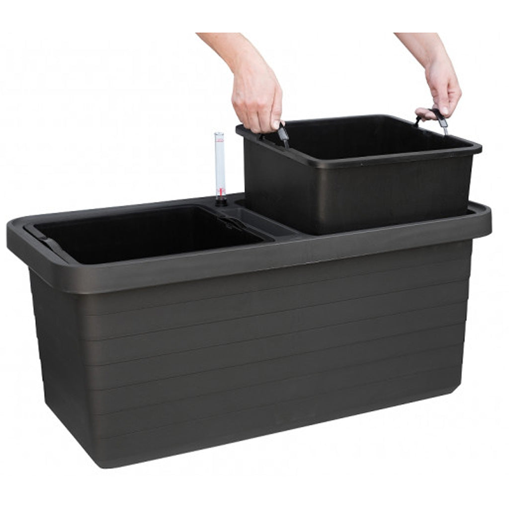 Berberis Duo Planters