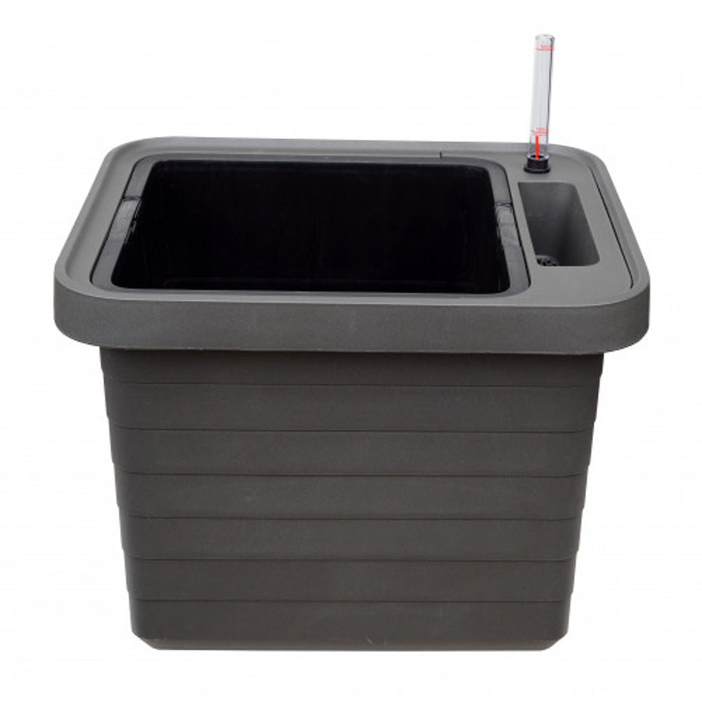 Berberis Uno Planters