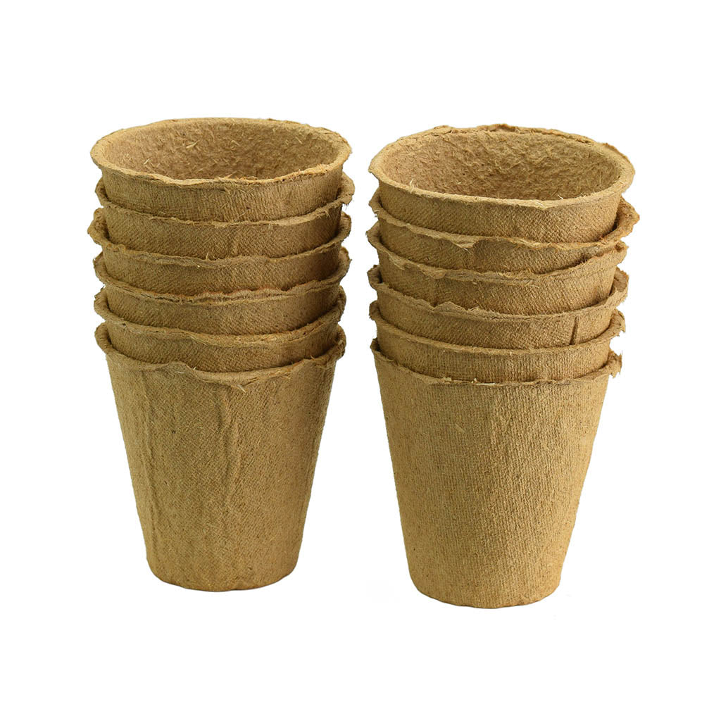 bio plant pots Bio Pots 6cm (12 pack)