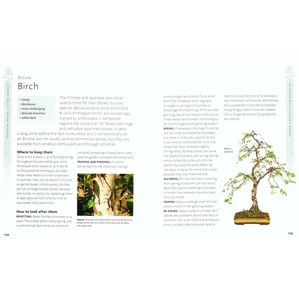 The Bonsai Beginner&#39;s Bible