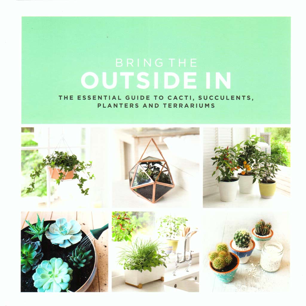 Bring the Outside In