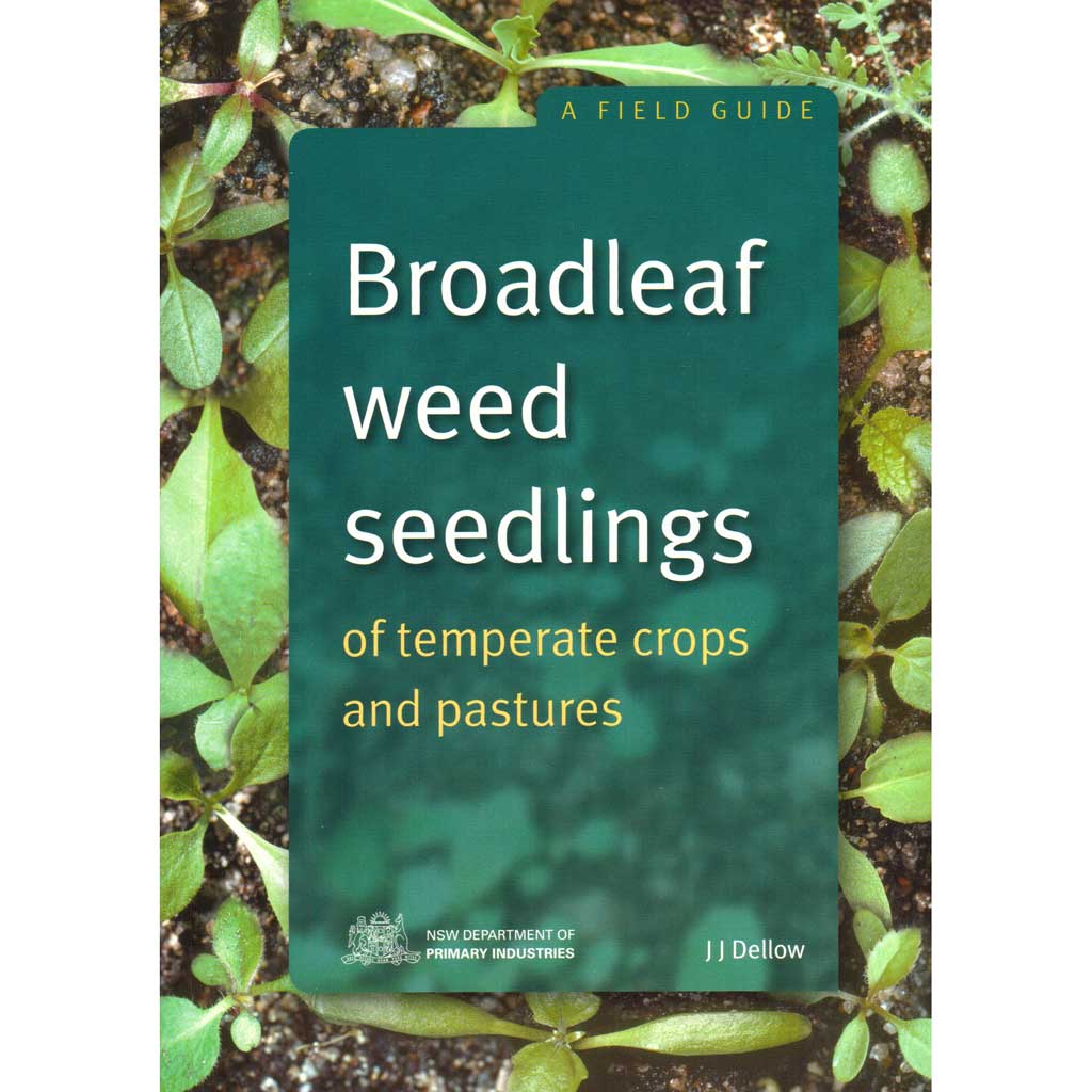 Broadleaf Weed Seedlings