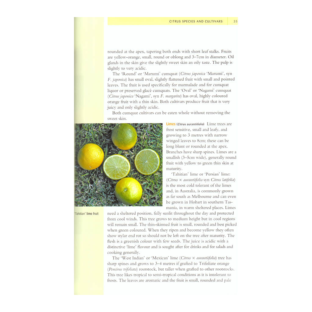 Citrus - A Guide to Organic Management