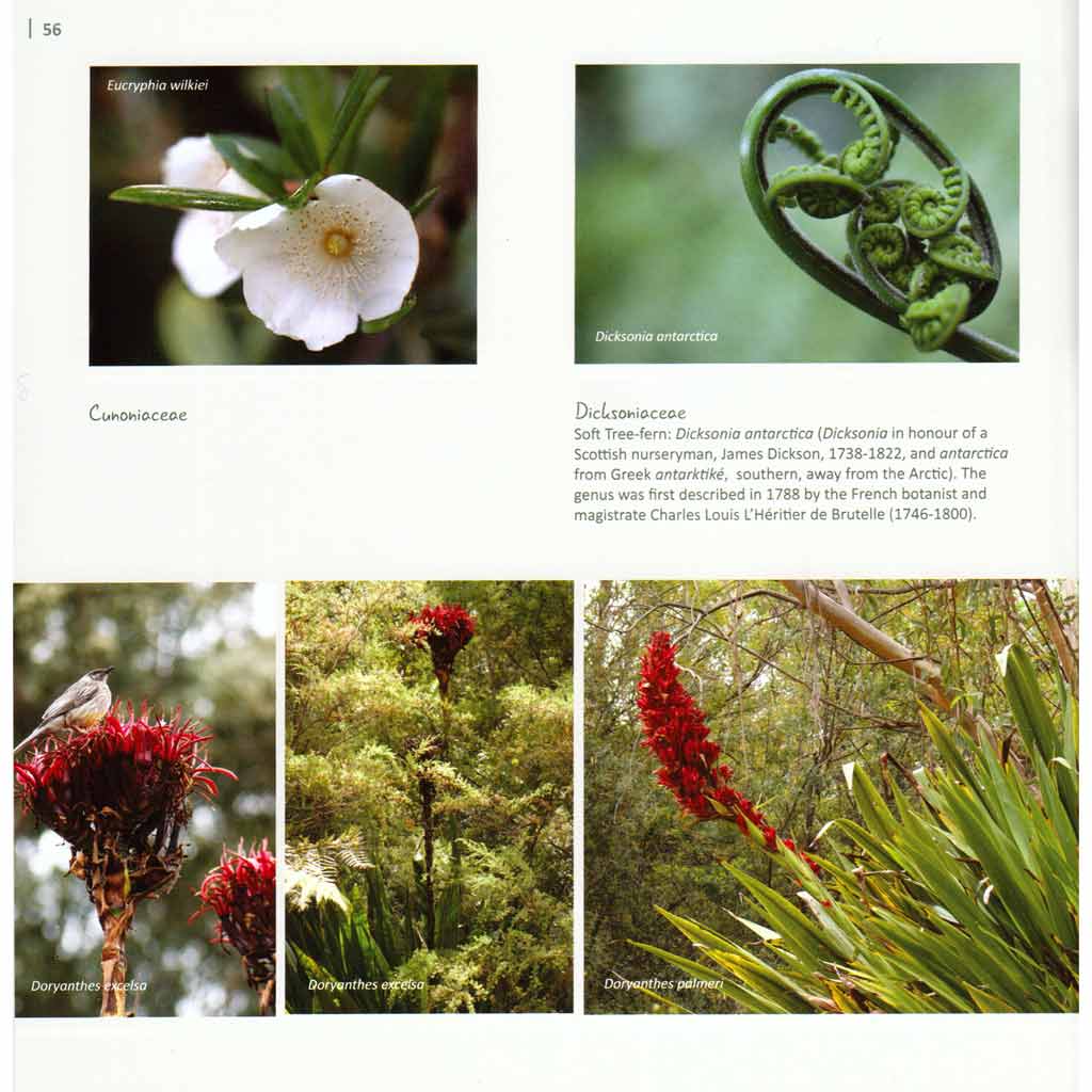 Discovering Australian Flora
