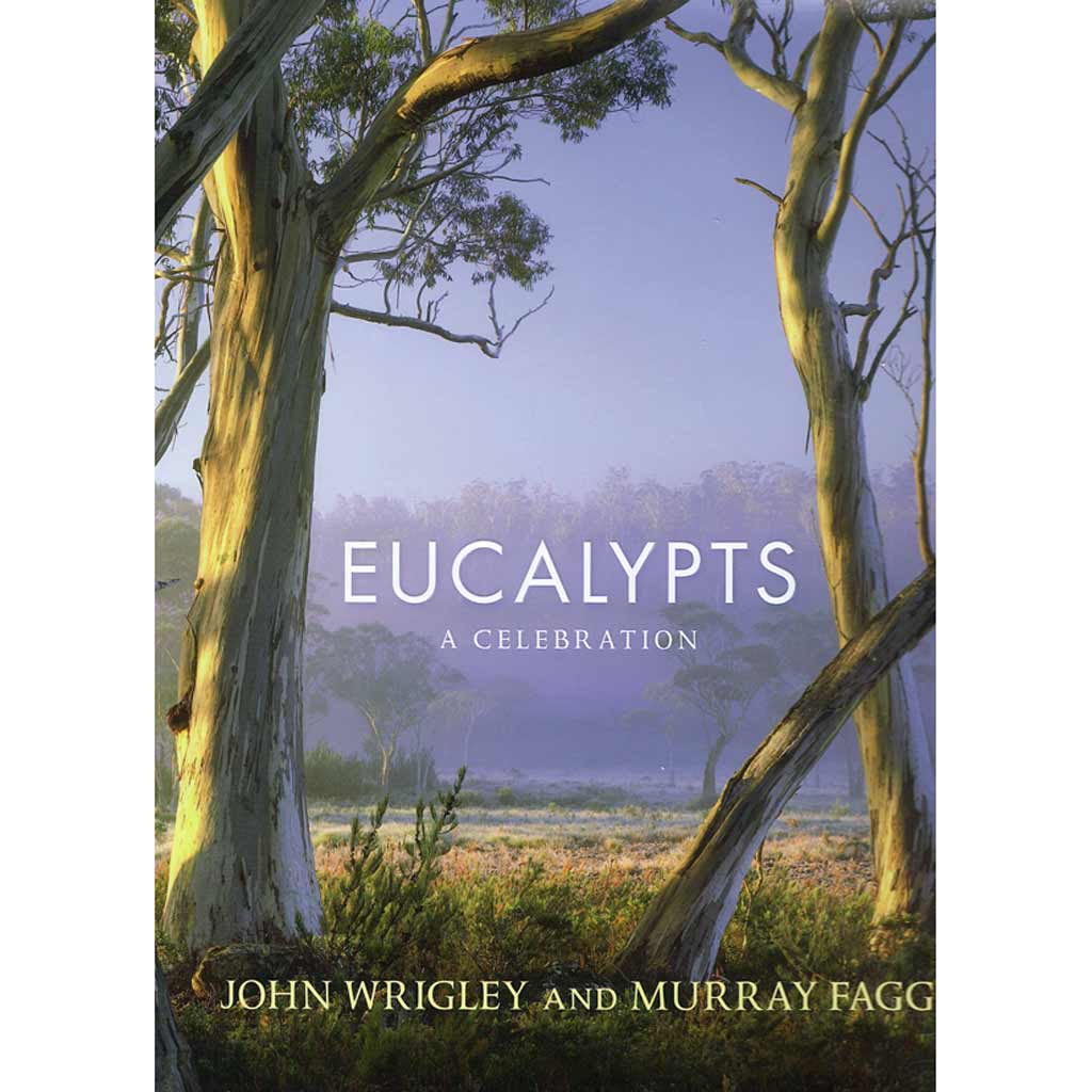 Eucalypts: A Celebration PB