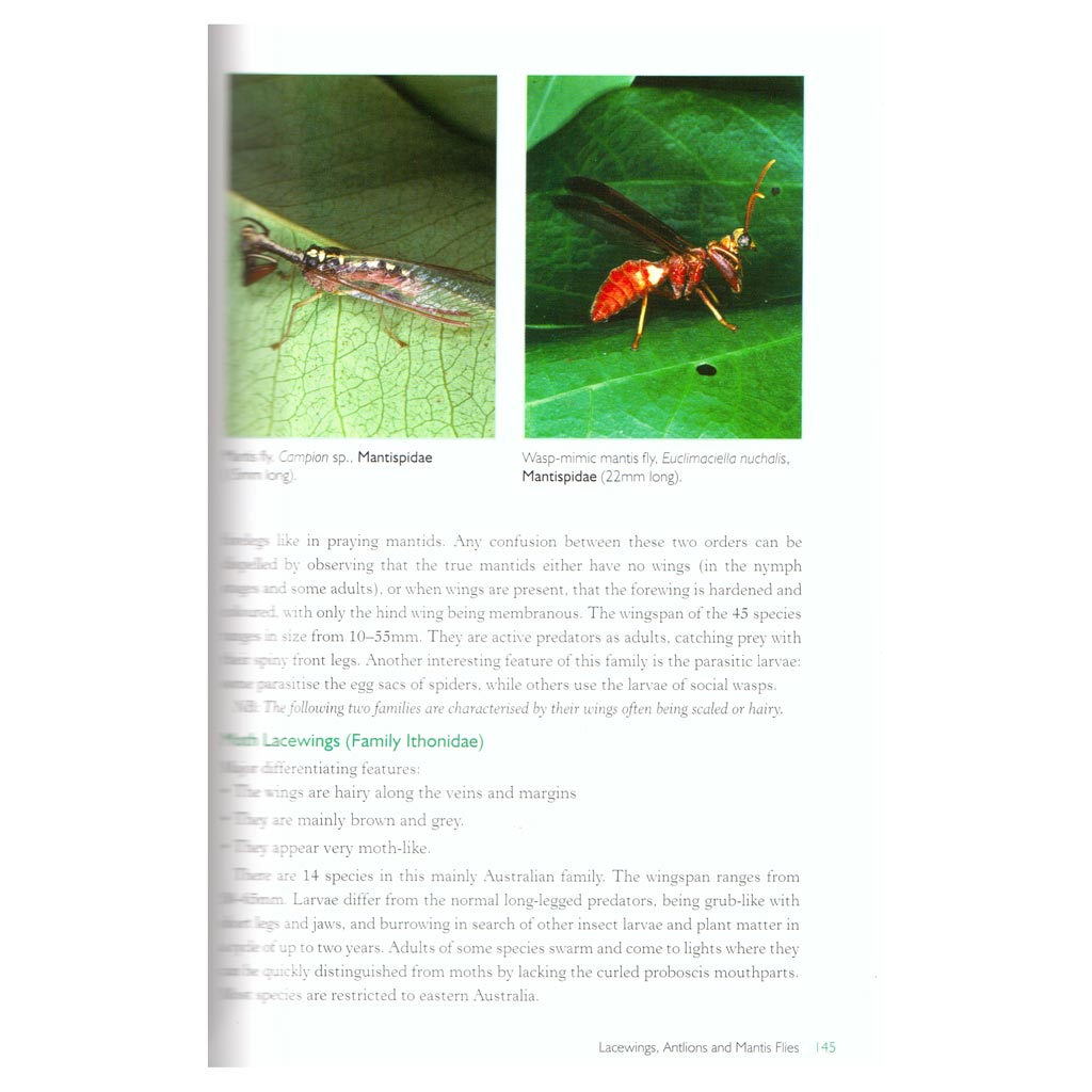 Australia Insect Map Field Guide to Insects in Australia - Forestry Tools