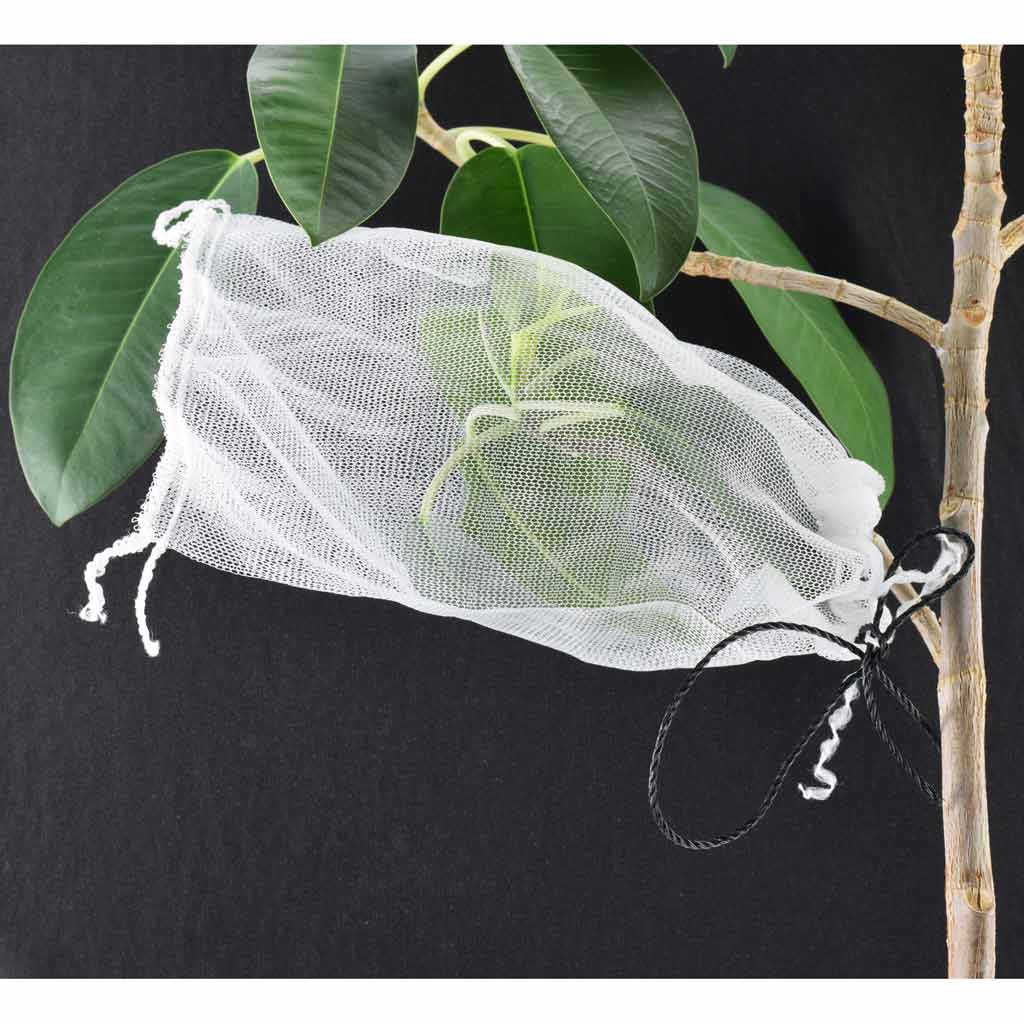 Fruit Protection Bags - Small 15x25cm (x10)