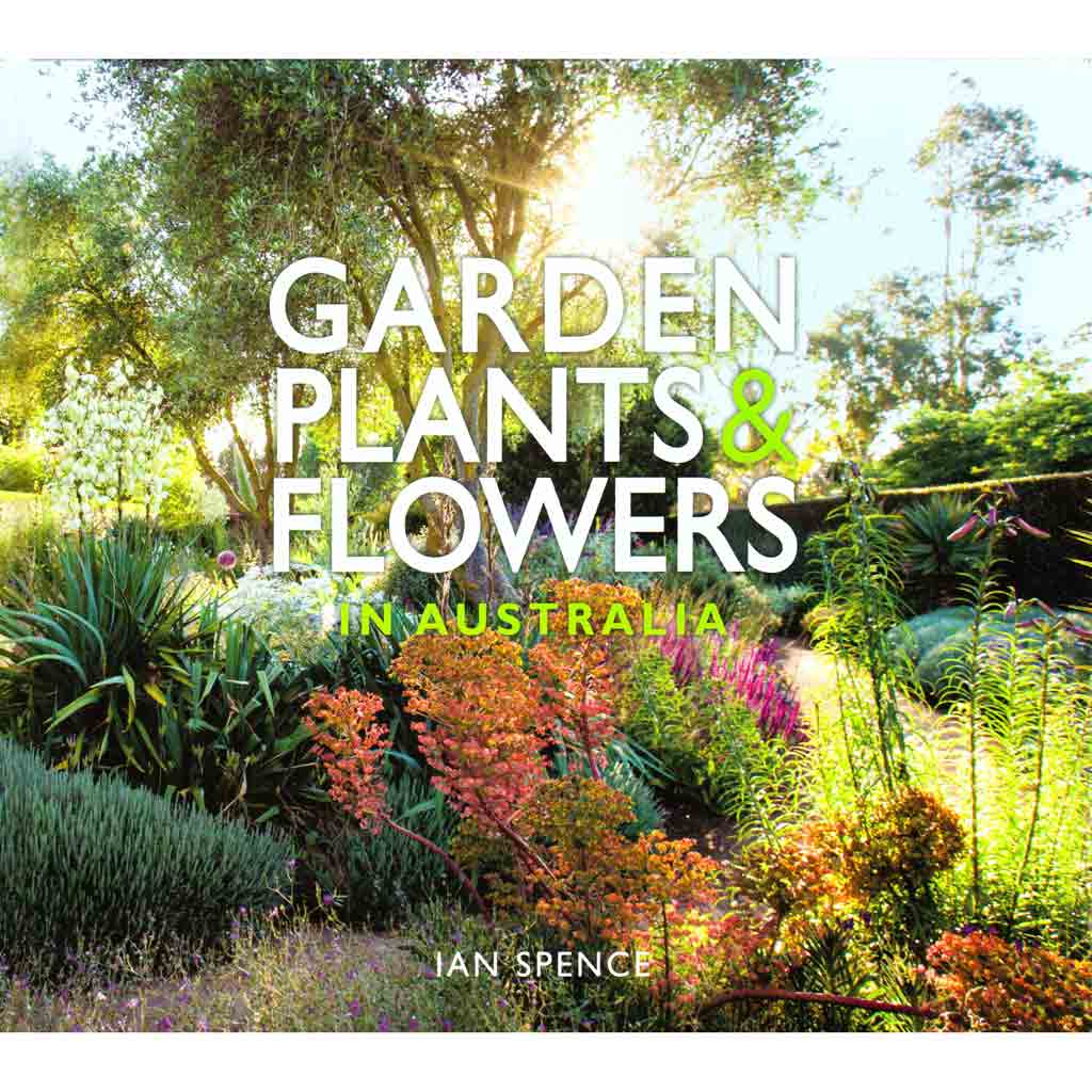 Garden Plants &amp; Flowers in Australia