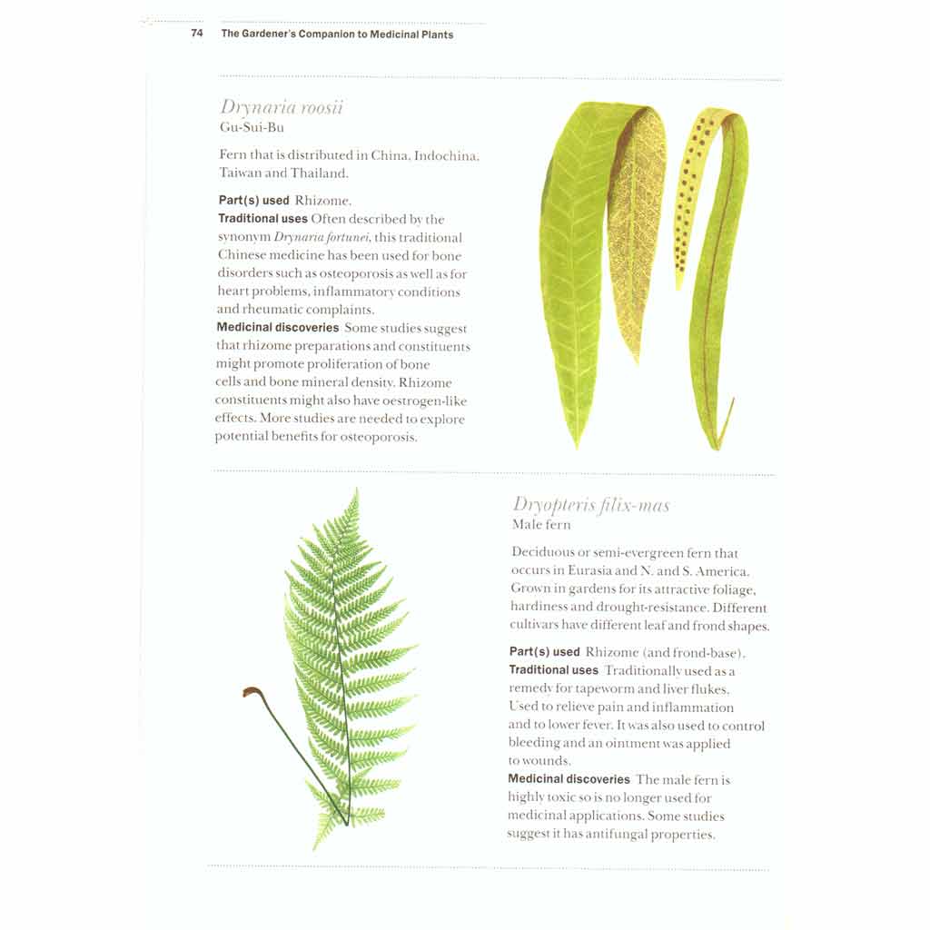 Gardener&#39;s Companion to Medicinal Plants