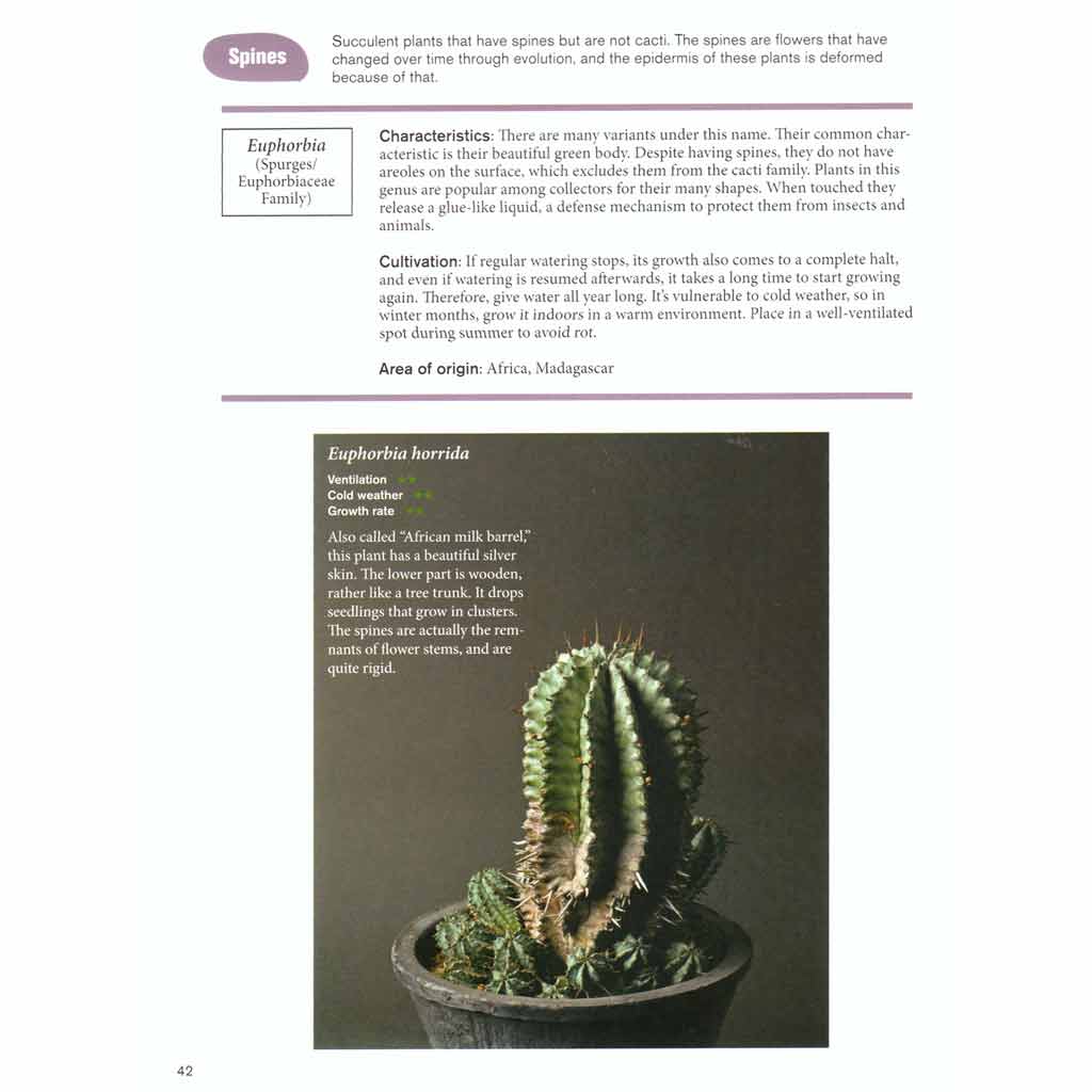 Gardener&#39;s Guide to Succulents