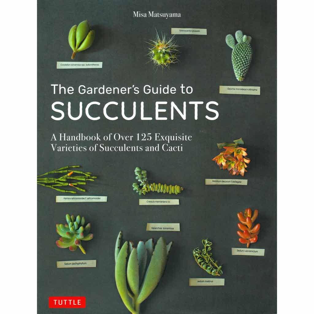visual guide to succulents Gardener's Guide to Succulents