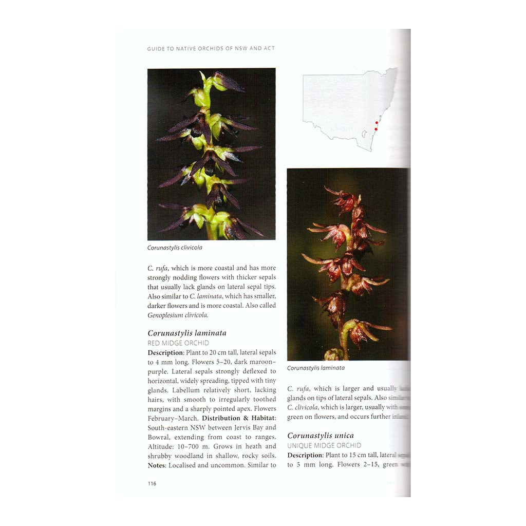 Guide to Native Orchids of NSW and ACT