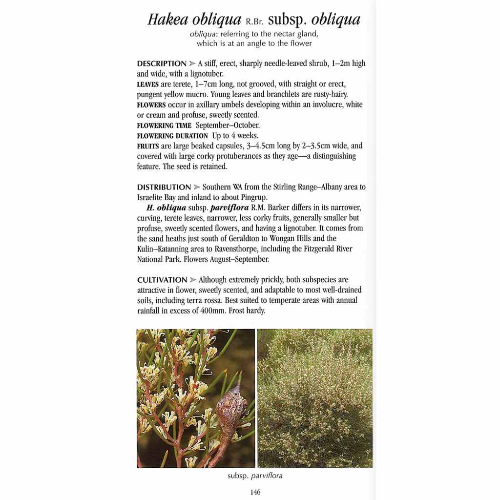 Hakeas: A Field and Garden Guide