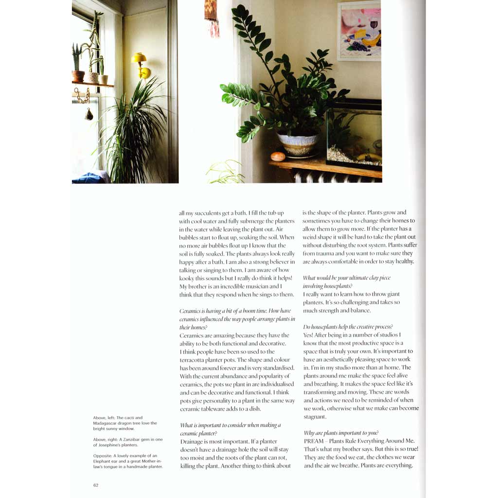Indoor Green Living with Plants